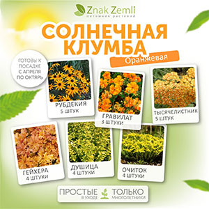 Солнечная клумба (в оранжевых цветах)